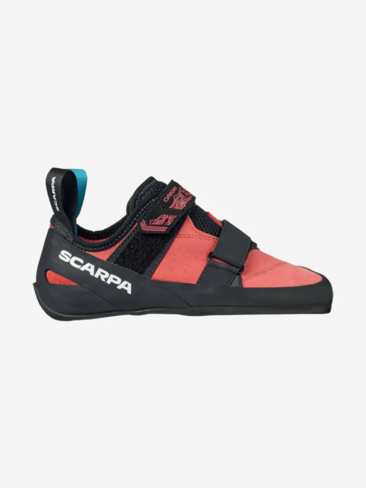 TrailBlazer Hiking Shoes