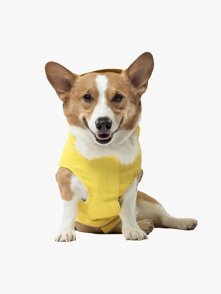 Hoodie, Stylish dog Comfort Gear Pawsome Fashion