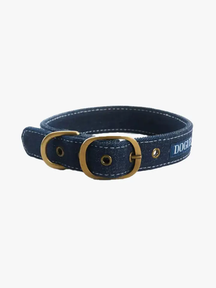 Dog Collars, Dog Leads